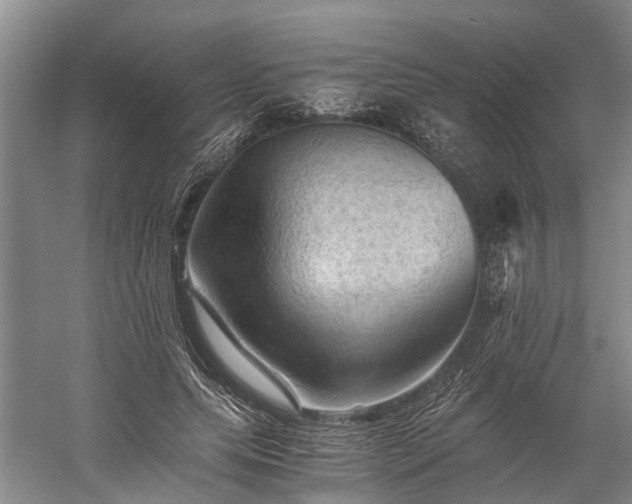 X0000058760639200510071517