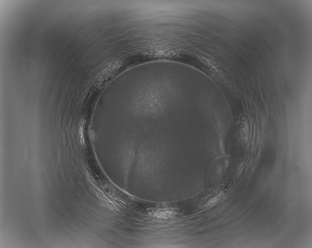 X0000058760643200510071517