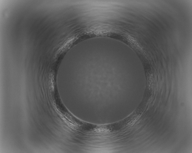X0000058760644200510071517