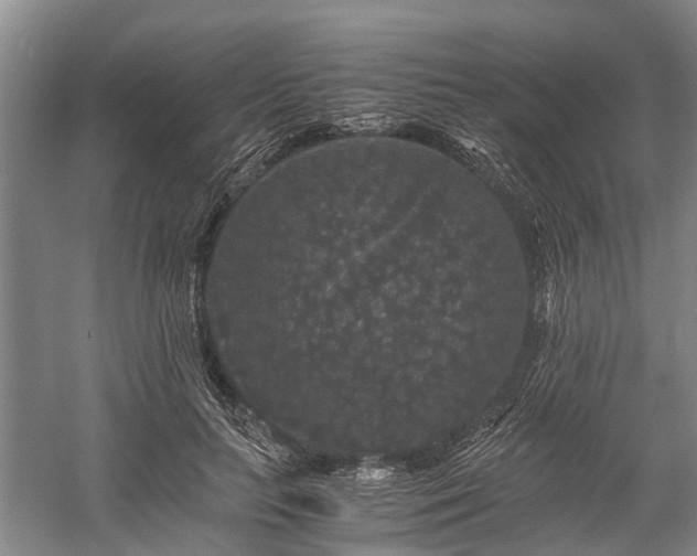 X0000058760647200510071517