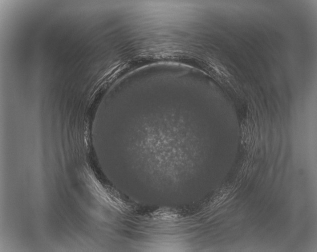 X0000058760648200510071517