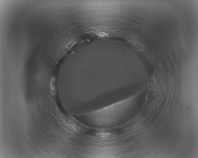 X0000058760650200510071517