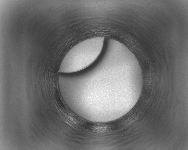 X0000058760653200510071517