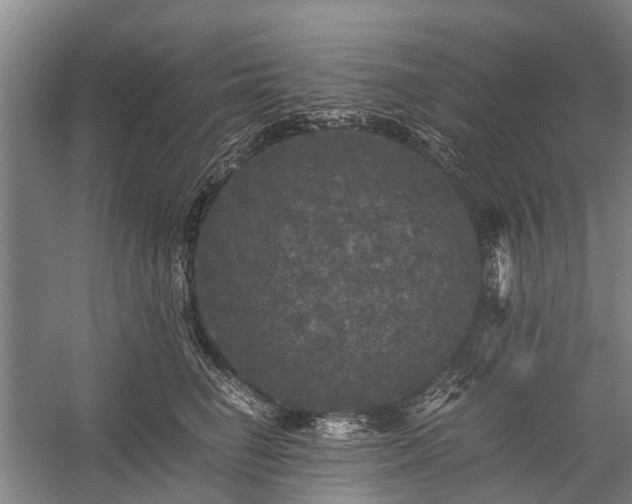 X0000058760662200510071517