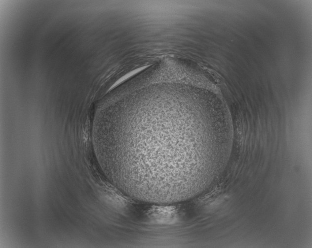 X0000058760665200510071517