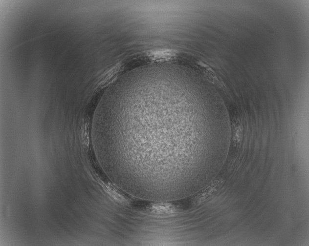 X0000058760666200510071518