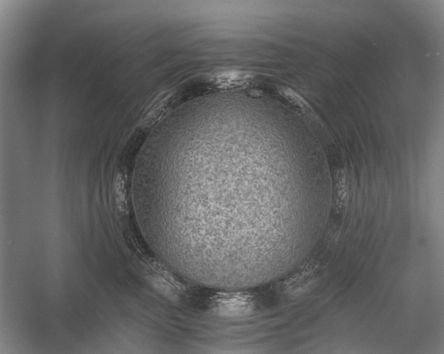 X0000058760667200510071518