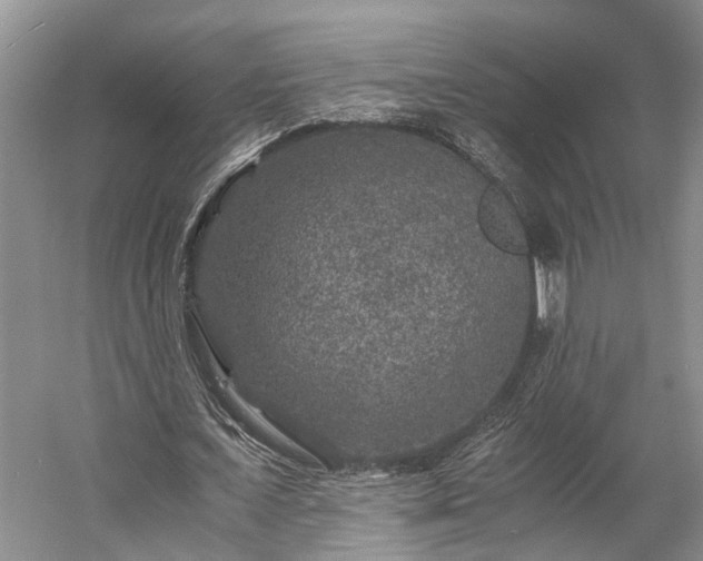X0000058760675200510071517