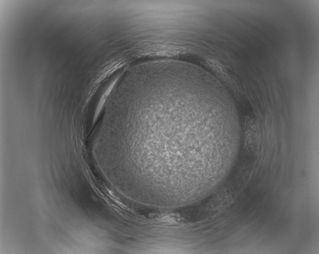 X0000058760683200510071517
