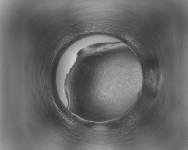 X0000058760685200510071517