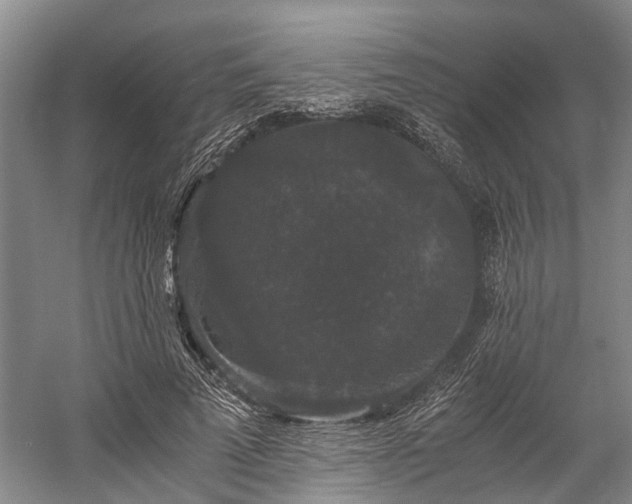 X0000058760689200510071517