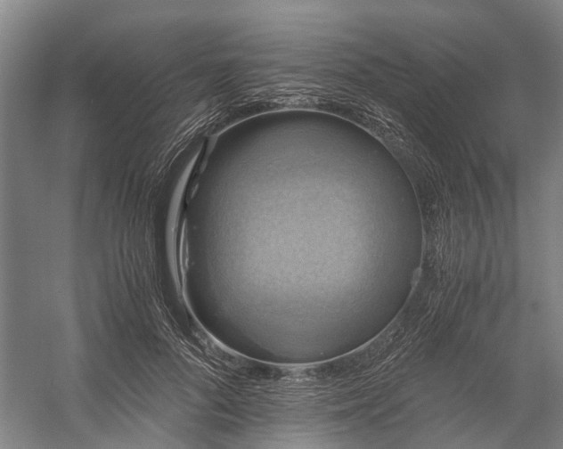 X0000058760696200510071516