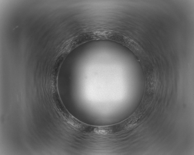 X0000058760706200510071516