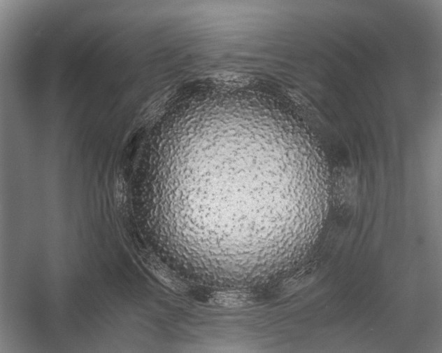 X0000058760713200510071516