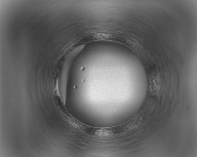 X0000058760714200510071516