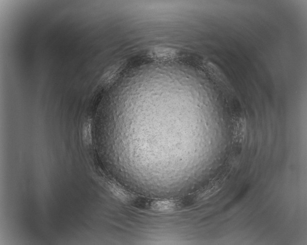 X0000058760717200510071516