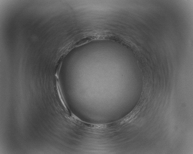 X0000058760720200510071516