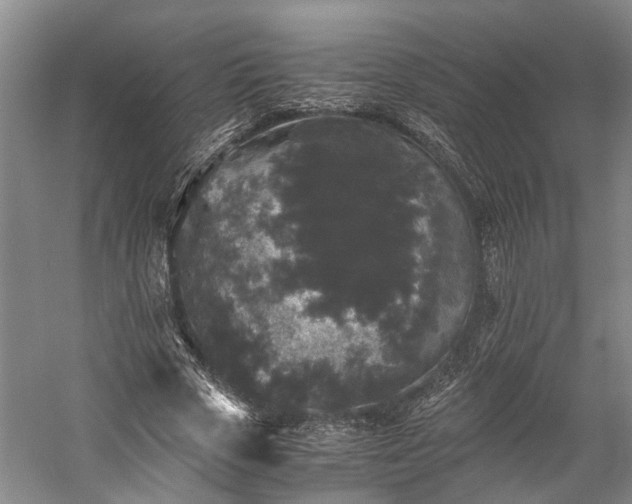 X0000058760729200510071515