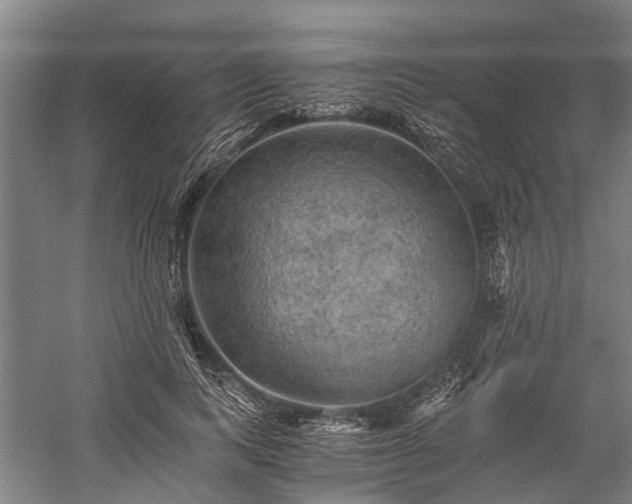 X0000058760743200510071516