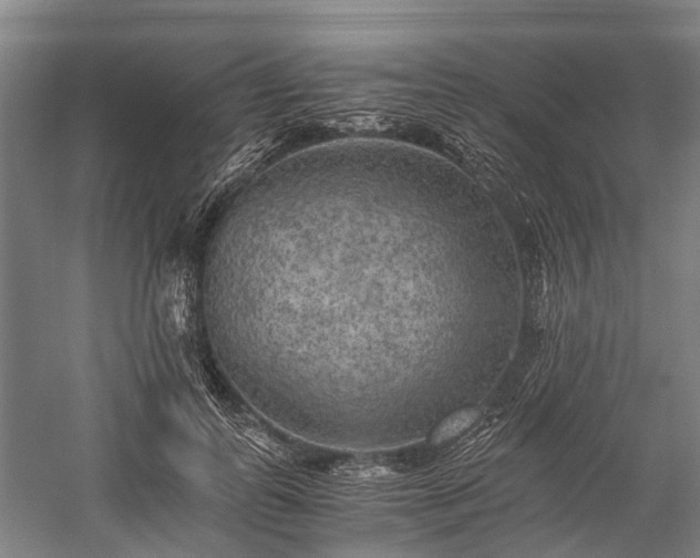 X0000058760747200510071516
