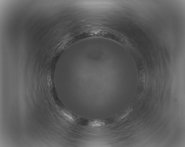 X0000058760754200510071516