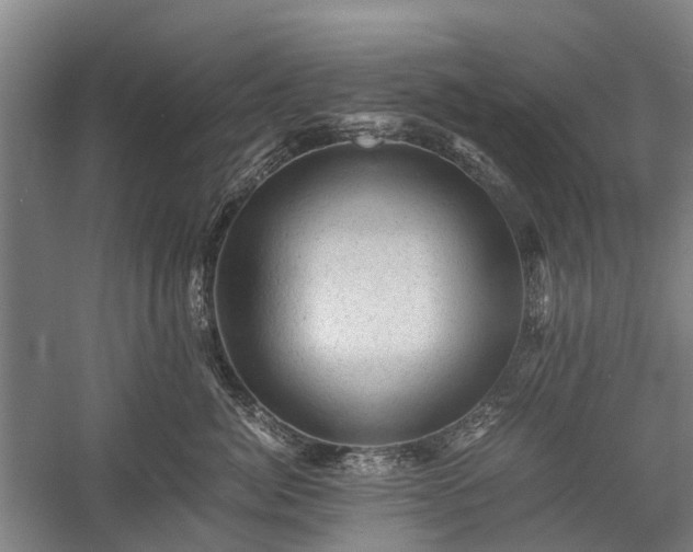 X0000058760764200510071516