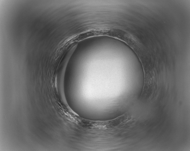 X0000058760773200510071515