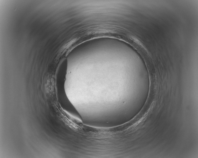 X0000058760777200510071515