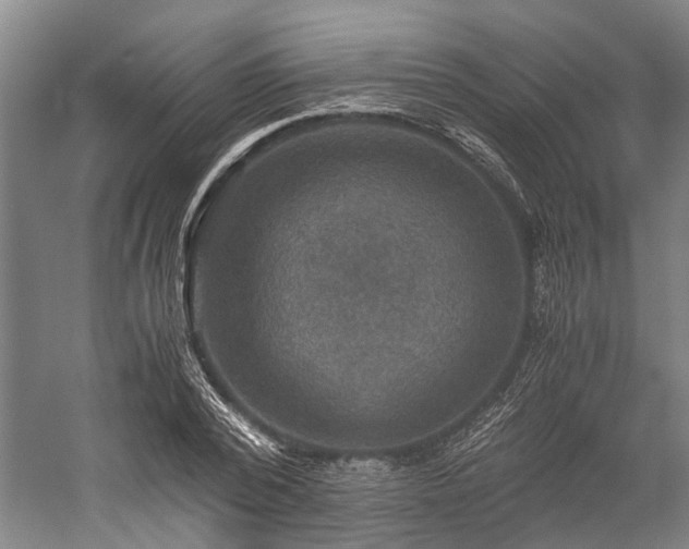 X0000058760784200510071515