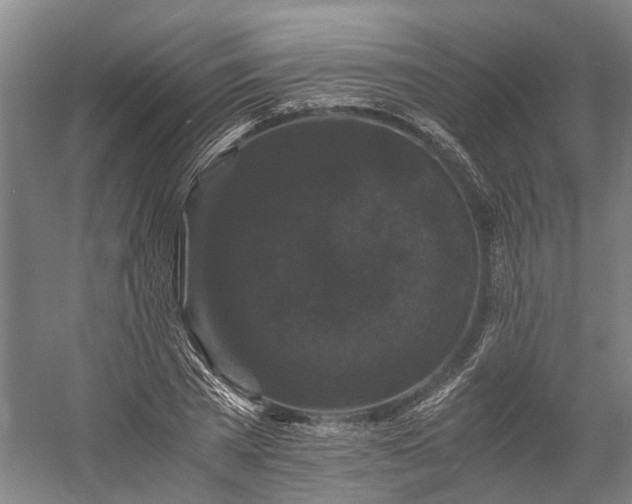 X0000058760785200510071515