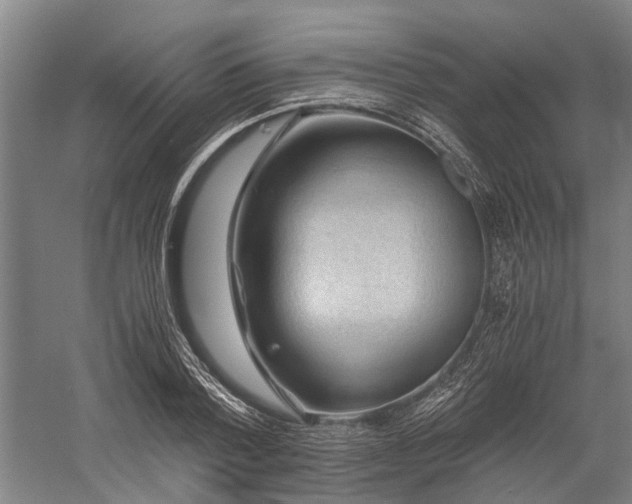 X0000058760788200510071515