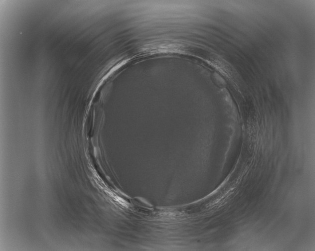 X0000058760790200510071515
