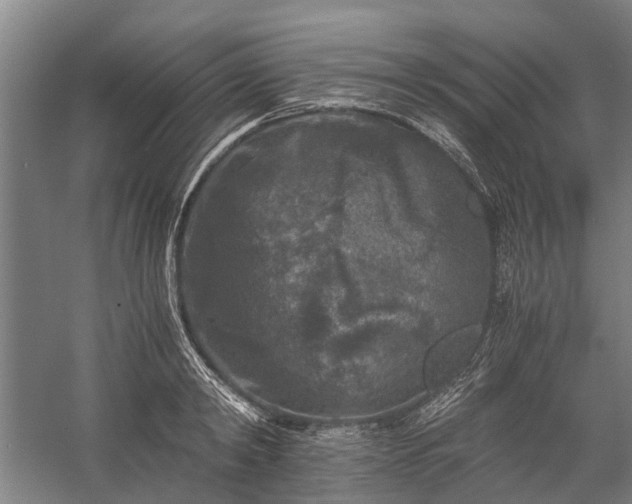 X0000058760798200510071515