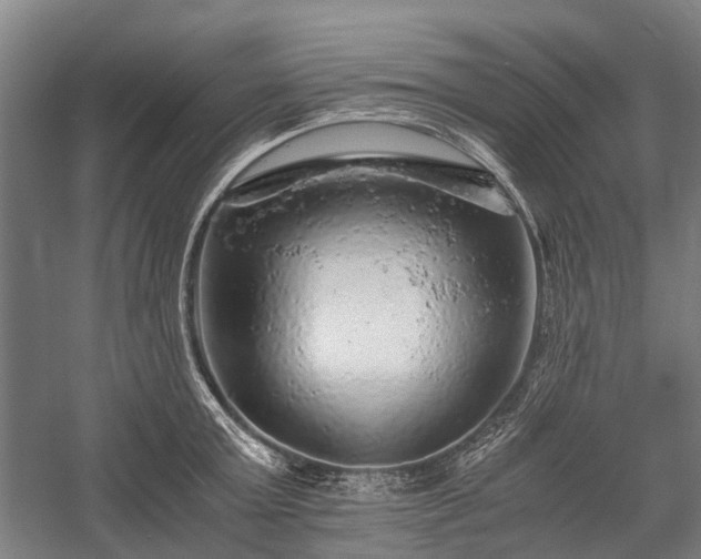 X0000058760803200510071515