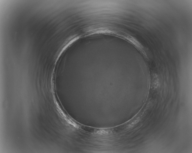 X0000058760806200510071515