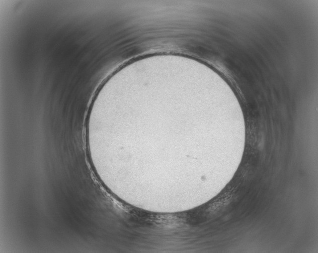 X0000058760807200510071515