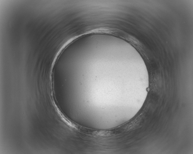 X0000058760808200510071515