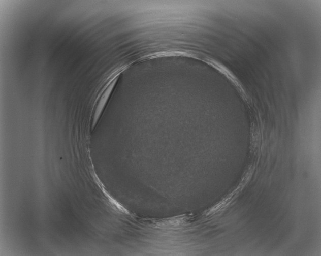 X0000058760809200510071514