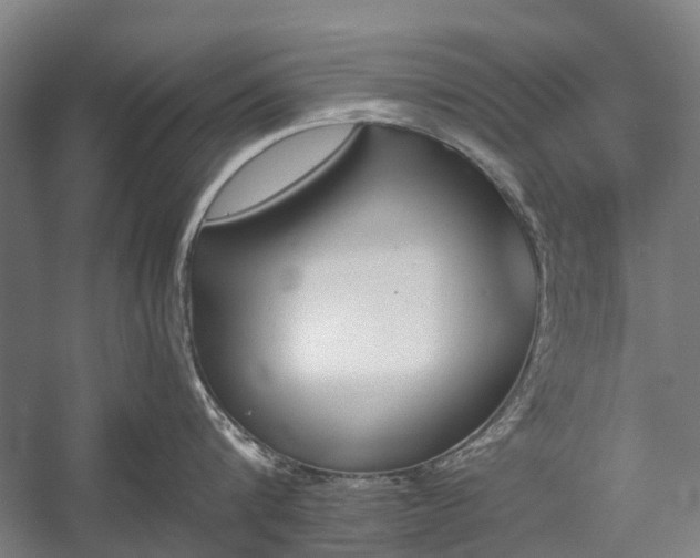 X0000058760816200510071514