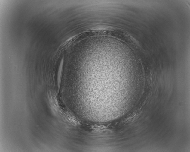 X0000058760821200510071514