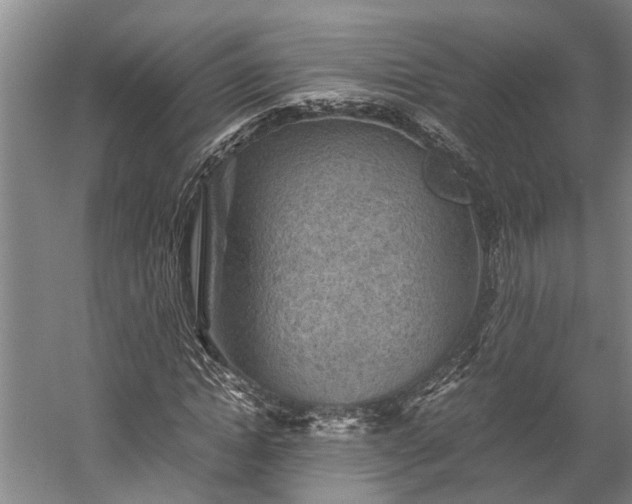 X0000058760822200510071514
