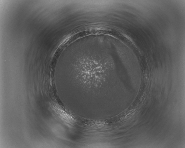 X0000058760823200510071514