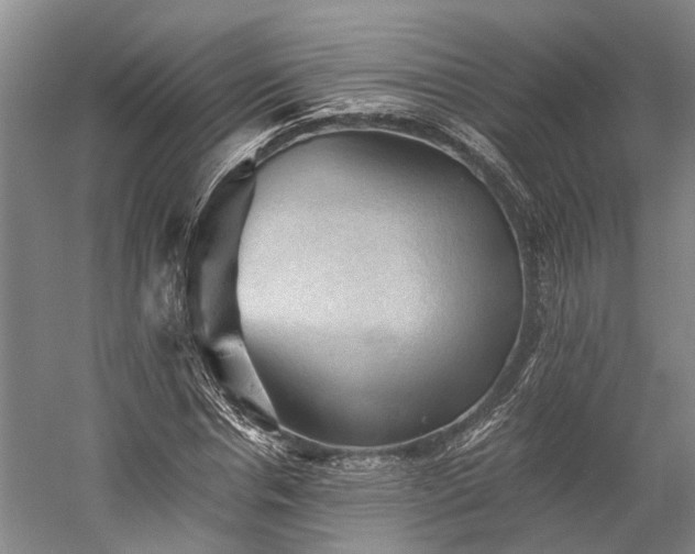 X0000058760826200510071514