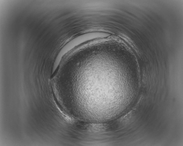X0000058760849200510071514