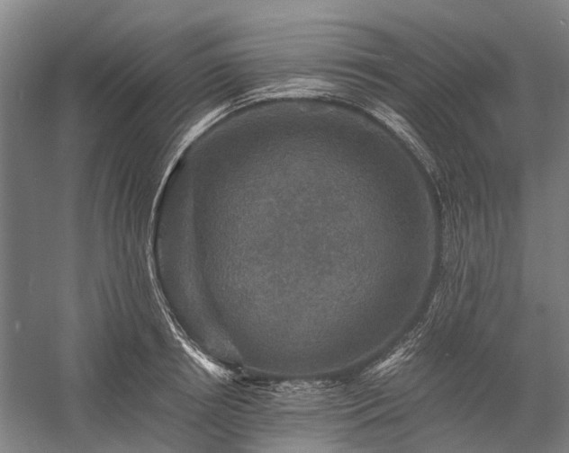 X0000058760850200510071514