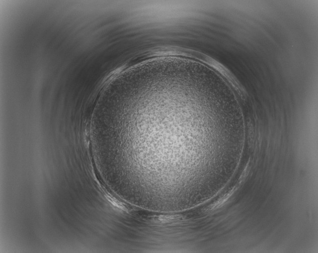 X0000058760857200510071514