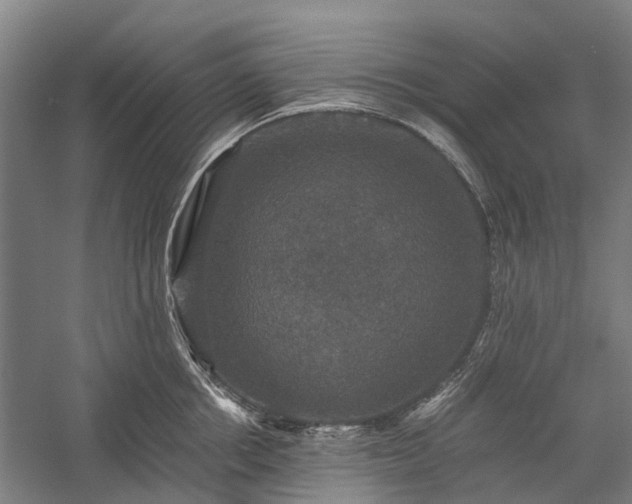 X0000058760858200510071514