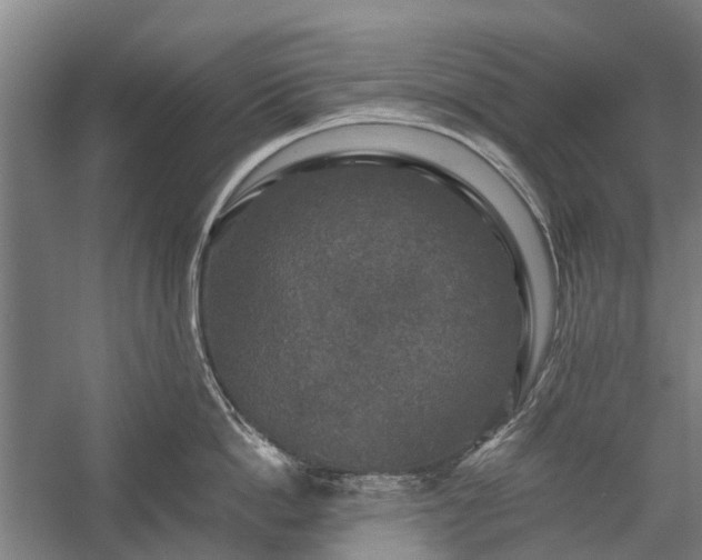 X0000058760862200510071514
