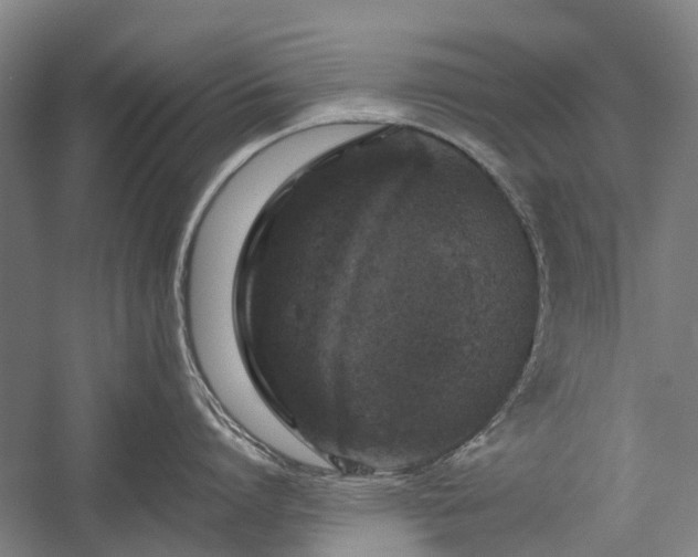 X0000058760864200510071514