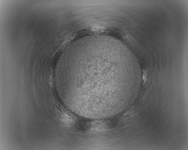 X0000058760867200510071513